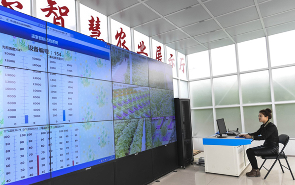 219գع־ũҵ˾ĹԱҼ߲˳ơ