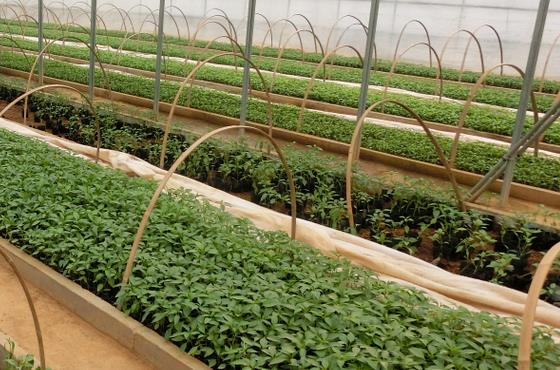 滻ı  ߶ 	 ߿С ˮƽ ֱ 뷽ʽ 	 Ԥ Lorem ipsum dolor sit amet, consectetuer adipiscing elit. Maecenas feugiat consequat diam. Maecenas metus. Vivamus diam purus, cursus a, commodo non, facilisis vitae, nulla. Aenean dictum lacinia tortor. Nunc iaculis, nibh non iaculis aliquam, orci felis euismod neque, sed ornare massa mauris sed velit. Nulla pretium mi et risus. Fusce mi pede, tempor id, cursus ac, ullamcorper nec, enim. Sed tortor. Curabitur molestie. Duis velit augue, condimentum at, ultrices a, luctus ut, orci. Donec pellentesque egestas eros. Integer cursus, augue in cursus faucibus, eros pede bibendum sem, in tempus tellus justo quis ligula. Etiam eget tortor. Vestibulum rutrum, est ut placerat elementum, lectus nisl aliquam velit, tempor aliquam eros nunc nonummy metus. In eros metus, gravida a, gravida sed, lobortis id, turpis. Ut ultrices, ipsum at venenatis fringilla, sem nulla lacinia tellus, eget aliquet turpis mauris non enim. Nam turpis. Suspendisse lacinia. Curabitur ac tortor ut ipsum egestas elementum. Nunc imperdiet gravida mauris.