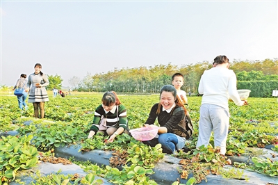 㶫شչй۹ũҵ ٽũ