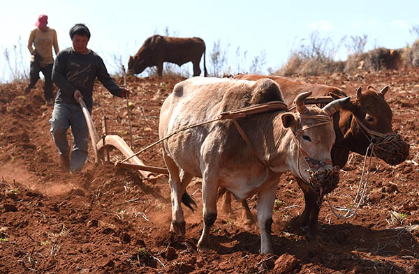 218գʡжũιڸţ