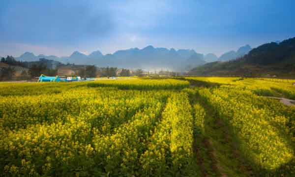 ݣ̤ͻȥ 300ĶͲ˻ʢ