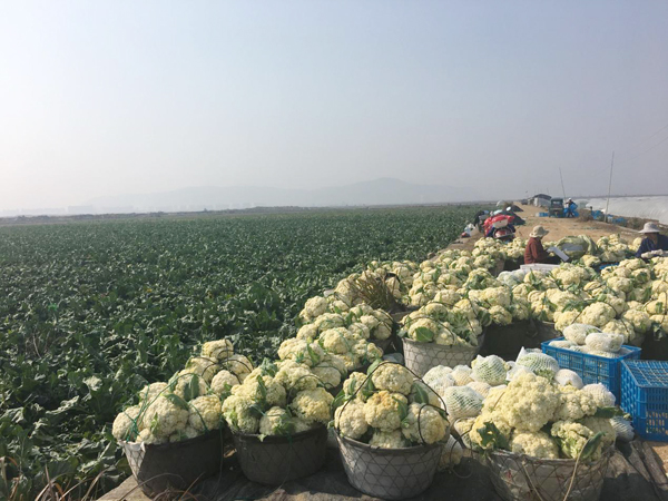 㽭ɻ˷ 񻷲ũæµһ