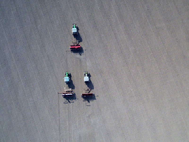 222գ½ŵڶʦʮһְڲС