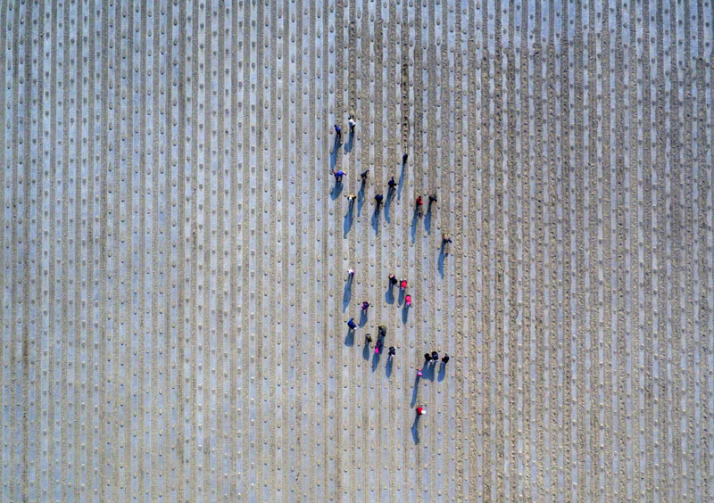 222գ½ŵڶʦʮһһְֲˡ