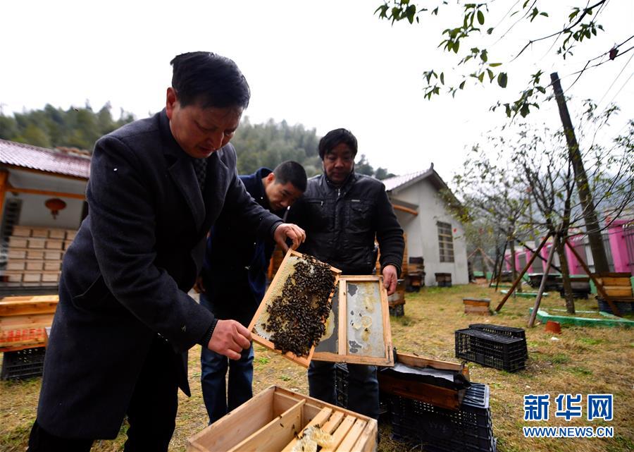 223գػ̳ɽл۷ֳ֣һзֳ