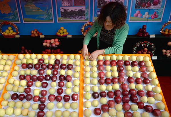 ڸʡ¤ƻǢ̸ԽӻϣһԱڲú͵ƻչ̨2015925գ