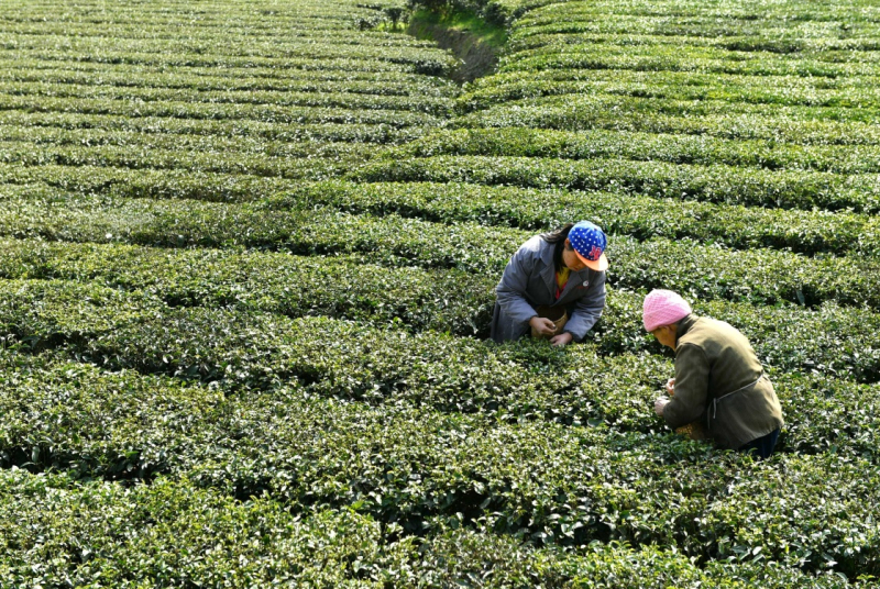 227գʡس߹ũڲժ衣