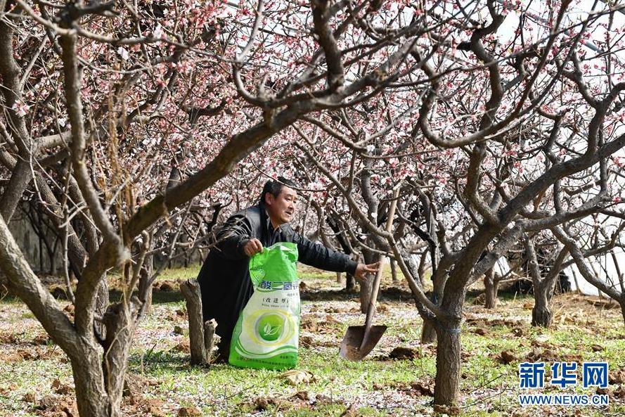 224գũھ¹ضׯġƶڸʩʡ