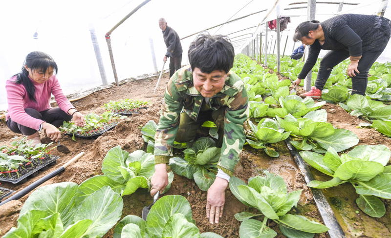 31գӱʡغȺֳũũΪݡ