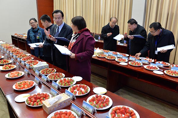 31գںͺоеĲݮ̨ϣίԲݮѡ