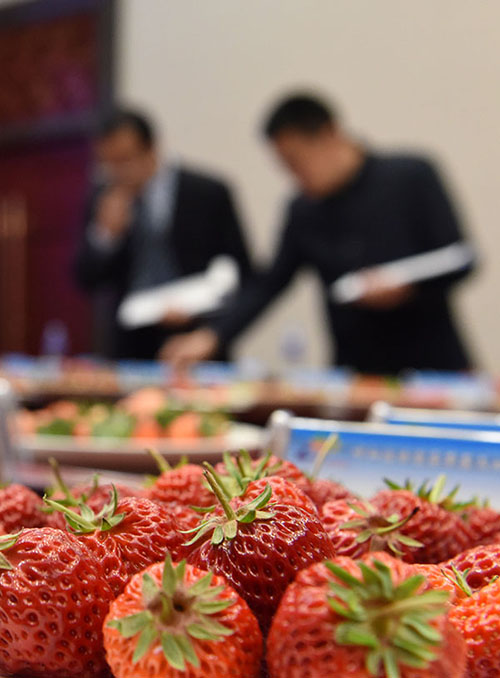 31գںͺоеĲݮ̨ϣίԲݮѡ