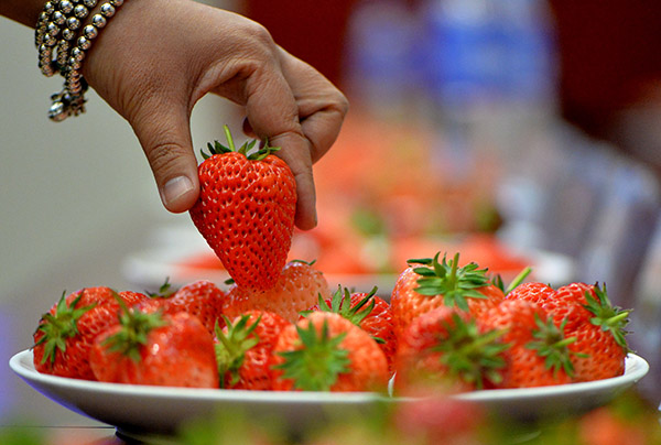 31գںͺоеĲݮ̨ϣίԲݮѡ