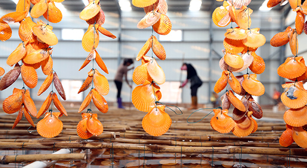 228գڸȪϰʯһϲֳԱڹϲ硣