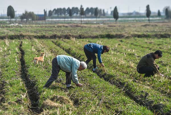 31գ֯÷ָ۴ũڵݡּ硣