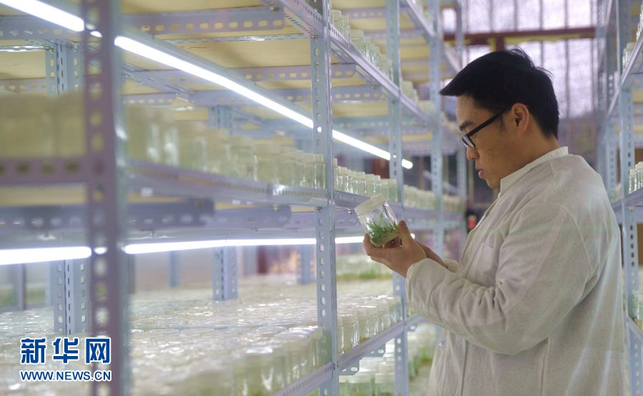 ʡִũҵƼ԰ƼԱڰܸҹ۲ũҵ԰ֲ֯Ƚѧ225㣩