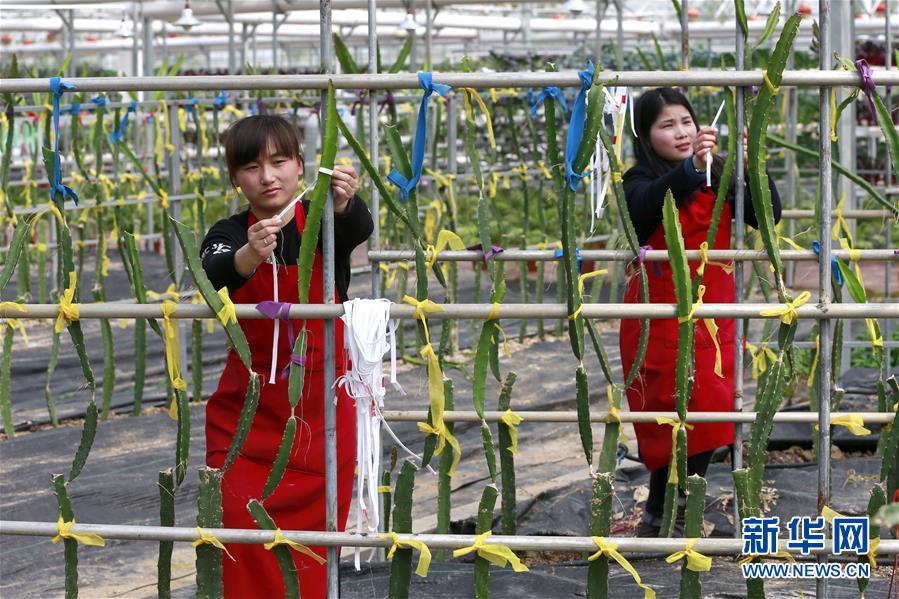 228գʡкũ԰ĹԱһۣ󣩺¿شӹ̻硣