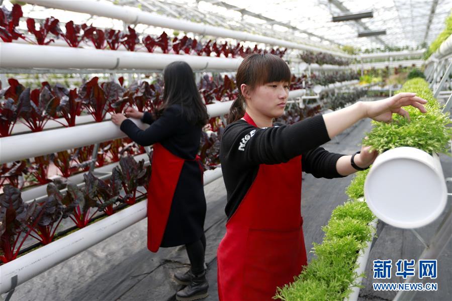 228գʡкũ԰ĹԱ¿شڹ߲ˡ