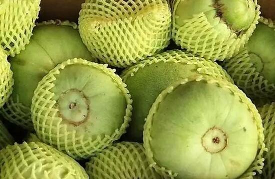 黑龙江肇源县福兴乡转变种植方式巧打时间差 棚室种植户走上致富快车道