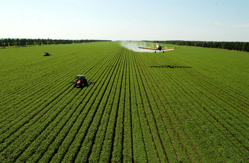 ʡʳƷũƷ֤лƷ֤1666