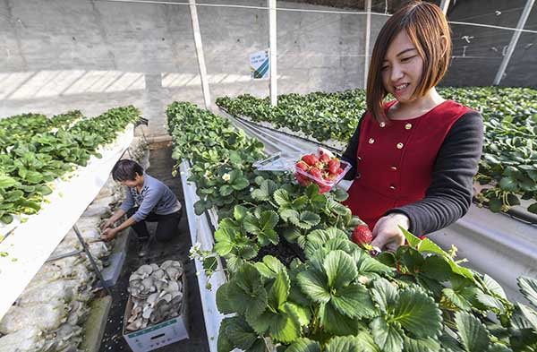 228գںӱʡش纣ִũҵ԰ڣοͺ͹˷ֱڲժݮƽ