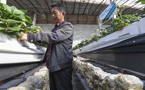 228գӱʡش纣ִũҵ԰Ĺڴݮ