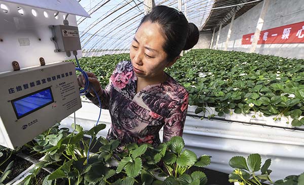 228գӱʡش纣ִũҵ԰Ĺڲ鿴ڼݡ