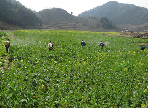 ǭ磺6000ĶͲʵʩͳͳ