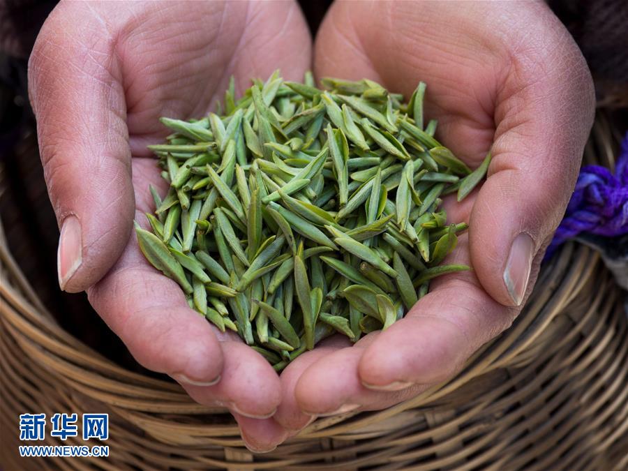 33գ㽭ʡһ԰ũչʾղժĻѿ