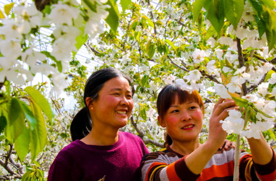 ɽˮԺͷй۹ũҵؿũ