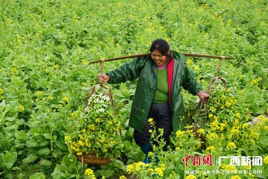 ˰Ͳ˻ֳ̬ѭũҵģʽ