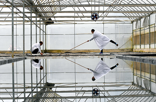 37գʡũȦҴĴ￪չˮ硣