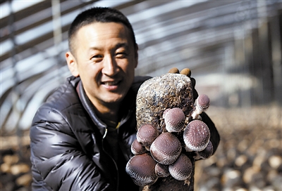 ����м�������ͷ����׼��ƶ����ʾ��԰ϲ�����