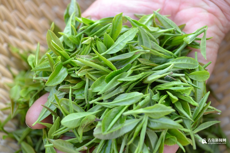 ɽൺͷɽ迪ʼժ Ҫȵ5·