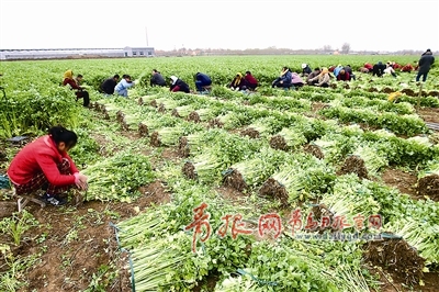 ɽൺҹ۲˴ Ķ4ֿڸʴ