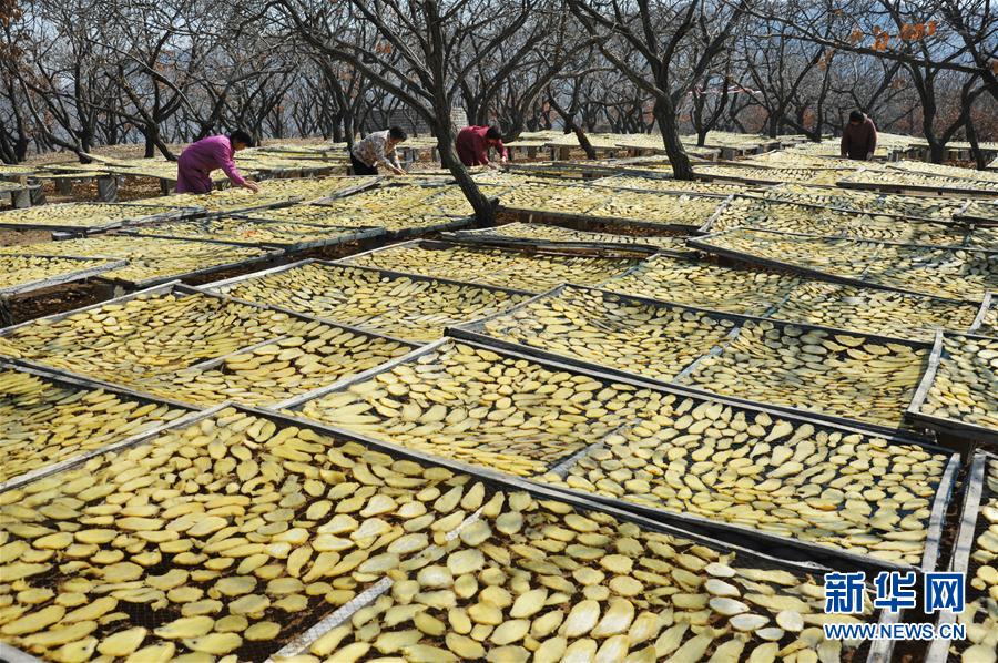 38գɽʡׯɽͤɽũҸŮɹƬ