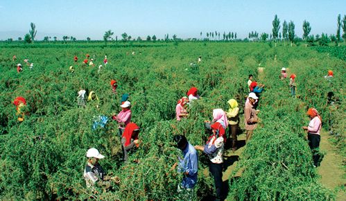 ຣл֤Եɹ轻ػءлƷ֤Ŀ¼