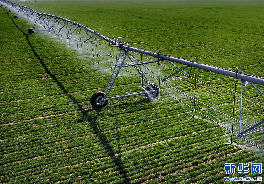 39գںϿׯһһ̨ʽڽҵ