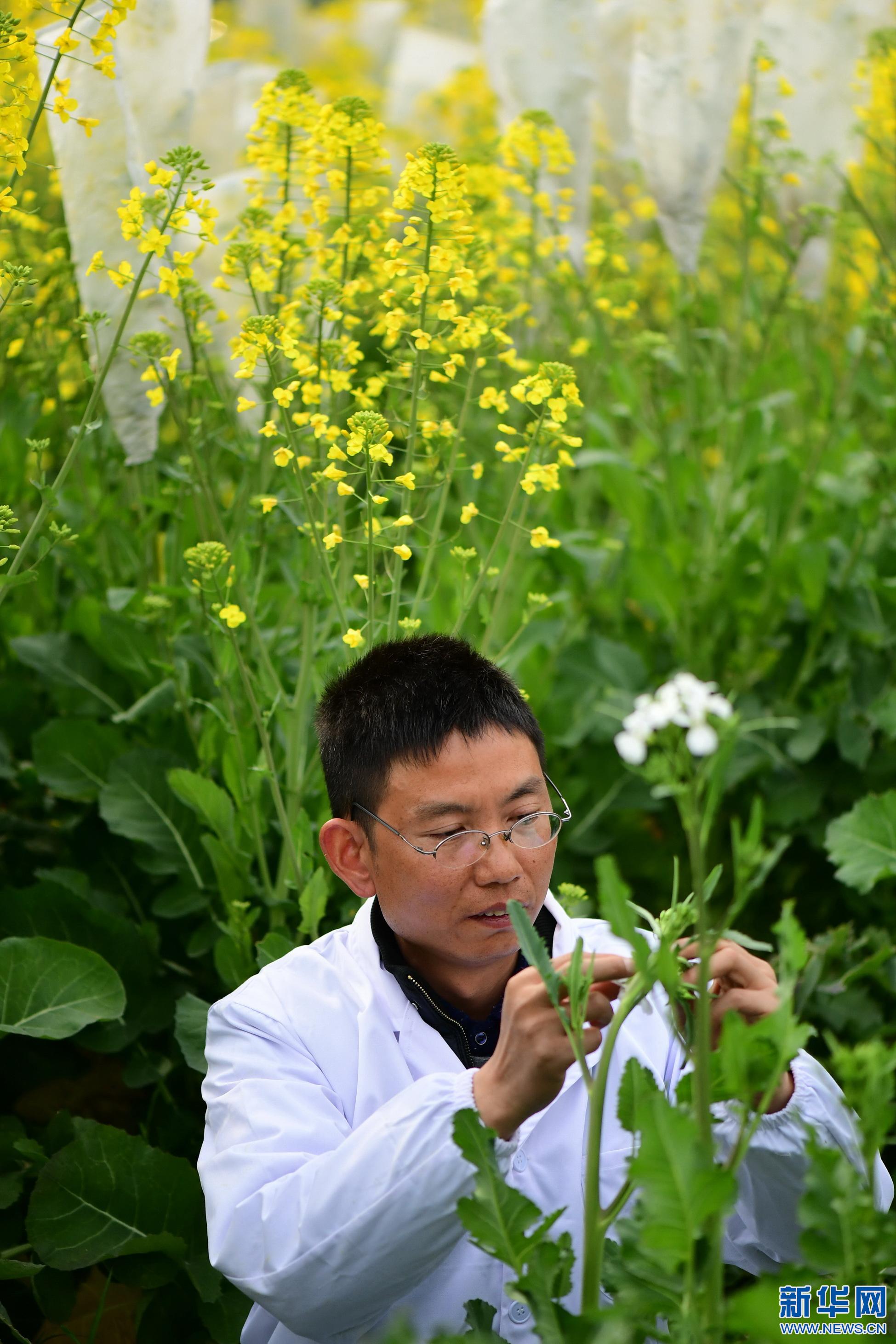 39գԱڽũҵѧͲ˻һ괿ɫͲ˻۲¼