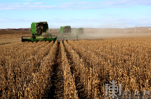 ںȫСںӴ󶹡ƵƷƴг