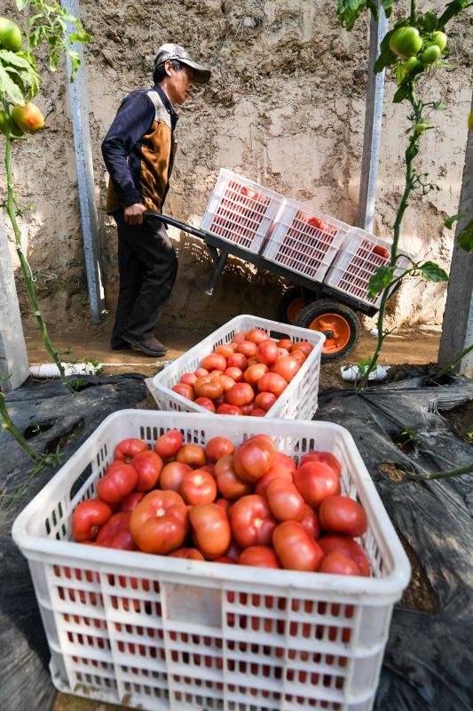 310գС綫һ壬͸ողժķѡ