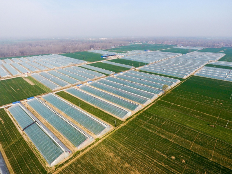 ʡС綫һչҴ310㣩