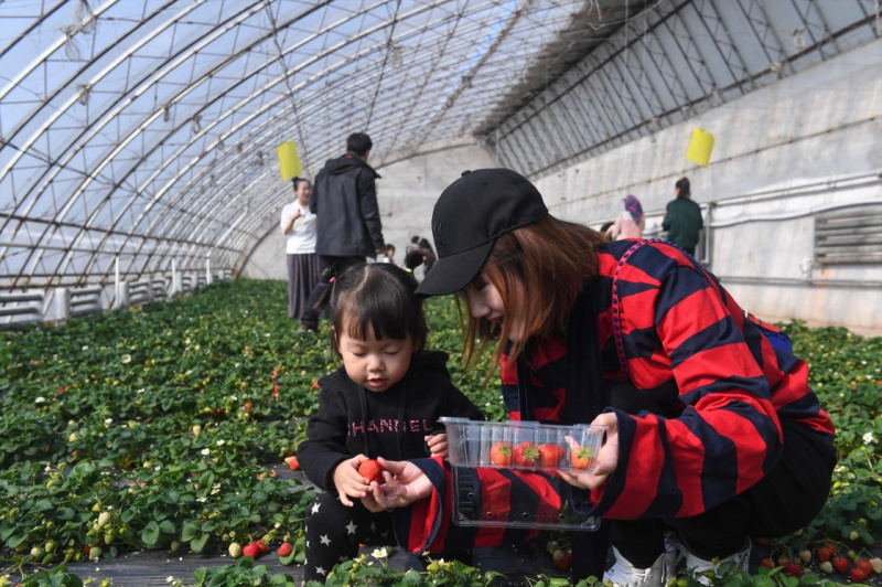 312գο˫ݰߡժڲժݮ