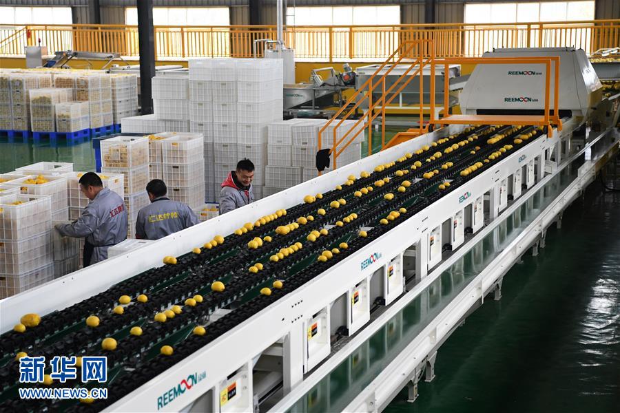 39գϻʿƼ޹˾Զѡˮ߱߹