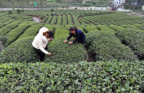 311գũϿʡéƺһ԰ժ紺衣