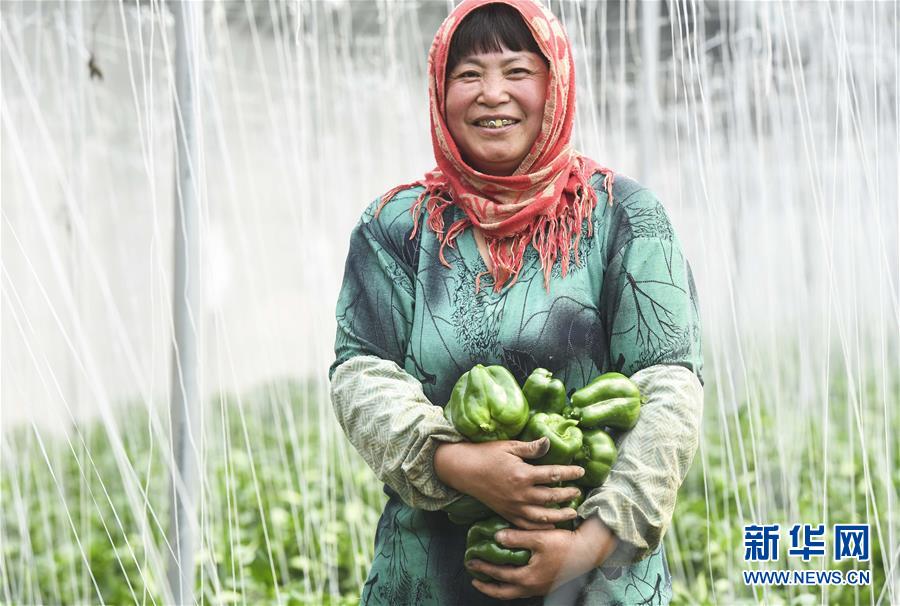 311գİصֲרҵԲֲڣƸũջԲ