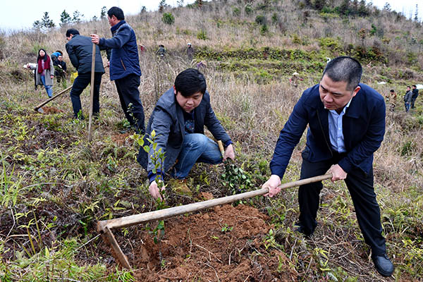 315գʳƷ޹˾Ա̩̹·ΪֲͲ衣