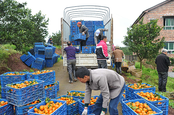 315գ쳤˫ִũҵֲ԰ũװ