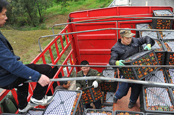 315գ쳤˫ִũҵֲ԰˽װ