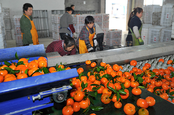 315գ쳤˫ϴũڴϴˮϵ١