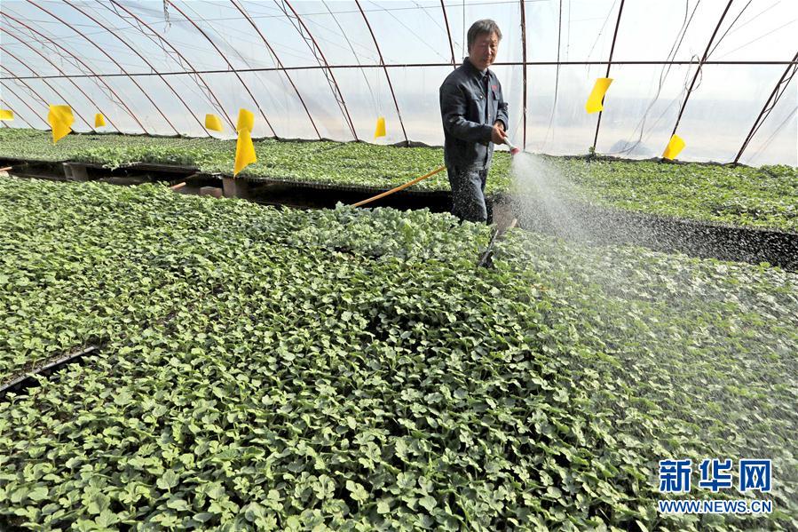 316գԱ½ִũҵ԰Ϊ罽ˮ